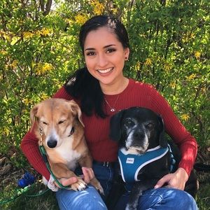 Meet your Posher, Sophia